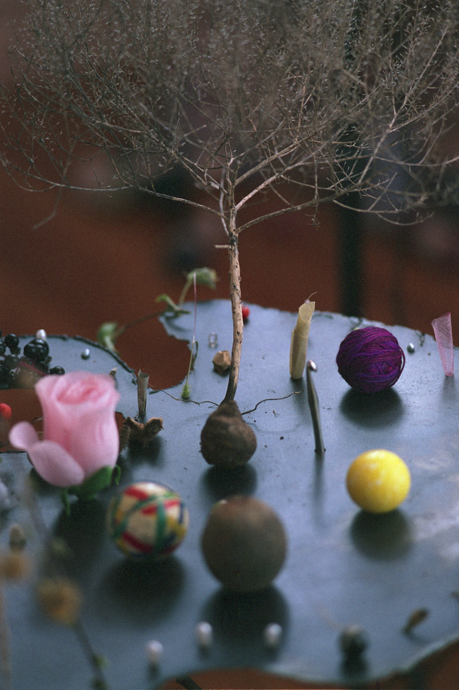 a closeup photo of The Garden Year by Mika Agari