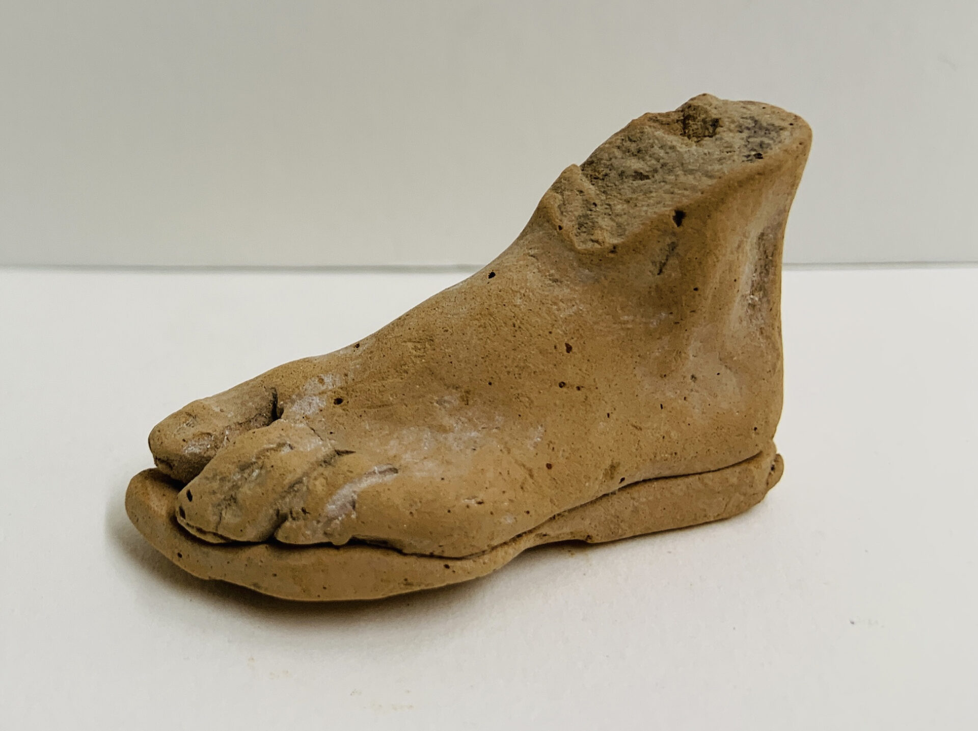 a photo of a Human Foot; Greek, 600 - 300 BC; Terra-cotta; Gift of Mr. and Mrs. Jonathan P. Rosen, 92.1.30